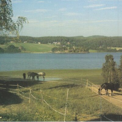 Örträskbygden, en naturskön och upplevelserik bygd i södra Lappland
Projektet FEM BYAR är delfinansierad av EG:s jordbruksfond.
Tryck: Vilhelmina Färgtryck AB, 97
Ocirkulerat
Ägare: Åke Runnman
10x15
