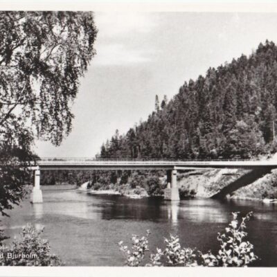 Öreälvsbron vid Bjurholm
Ocirkulerat
Ägare: Åke Runnman
9x14