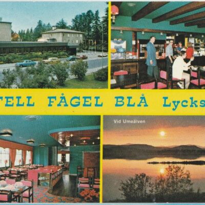 Hotell Fågel Blå, Lycksele
Copyright: Grönlunds Foto, Skansholm, Vilhelmina
Poststämplat 17/7 1986
Ägare: Åke Runnman
10x15