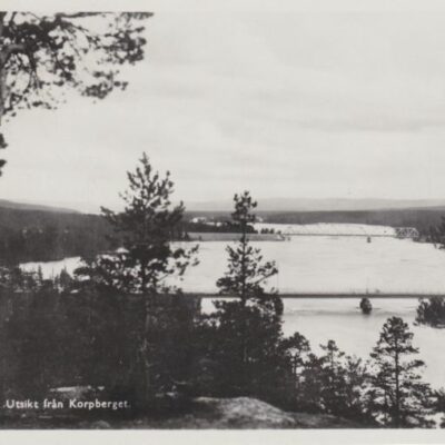 LYCKSELE Utsikt från Korpberget
A. B. Alga, Stockholm
Poststämplat 3/8 1949
Ägare: Åke Runnman
9x14