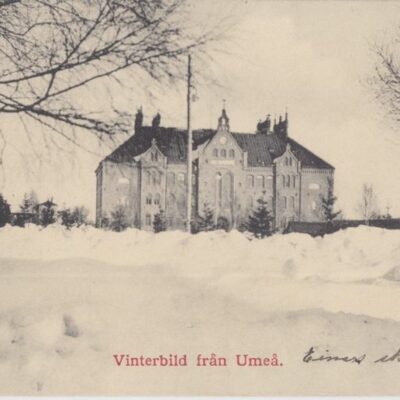 Vinterbild från Umeå
Johan Åkerbloms Bokhandel
Poststämplat 31/12 1912
Ägare: Ivar Söderlind
9x14