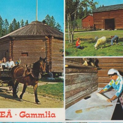 UMEÅ - Gammlia
Hallens reklamtryck
Poststämpel oläslig
Ägare: Ivar Söderlind
10x15