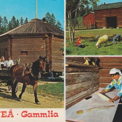 UMEÅ . Gammlia
(tryckt Ångermanland och överstämplat med Västerbotten)
Hallens reklamtryck
Daterat 1986-08-12
Ägare: Åke Runnman
10x15