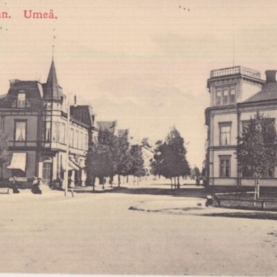 Kungsgatan. Umeå REINHOLD HJORTSBERGS PAPPERSHANDELPoststämplat 1913-02-14Ägare: Åke Runnman9x14