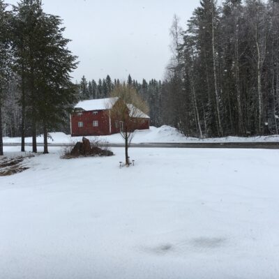 2016-04-25 I går tussilago - i dag snö = aprilväder Foto Åke Runnman