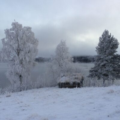 2015-11-23 Så har vintern kommit med snö och kyla.  Rimfrosten sätter sig i träden och gör naturen vit Foto: Åke Runnman