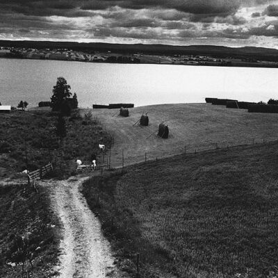 Juni 2017 Vi fortsätter sommaren med kreatursbilder. Här kommer en bild tagen av Sune Jonsson den 15 juli 1971. Verkar som att den är tagen över sjön mot västra, men kan någon precisera mer.