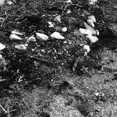 Juni 2019. En bild från Sune Zackrissons foton på Västerbottens museum. Denna är från Älgbäcksliden, Långsele och är tagen efter den stora skogsbranden 1968 och på bilden ser man en härd på en av samernas boställen. Notera de två knivarna i förgrunden. Många härdar kom upp i dagsljuset då branden hade slocknat.