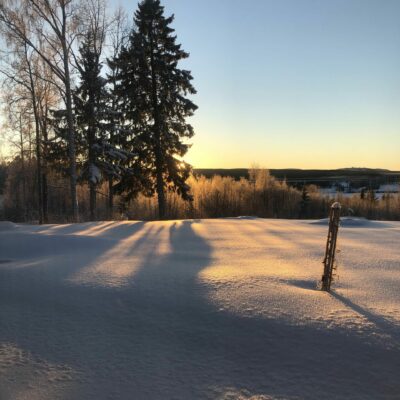 2021-01-16 Ännu en vacker solig dag i Örträsk. Foto: Åke Runnman