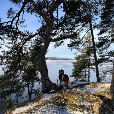 2021-11-13 Nu har isen lagt på sjön. Foto: Åke Runnman